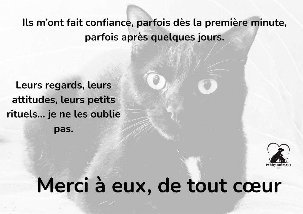 galerie Debby Animaux Services à Saint-Brice-sous-Forêt