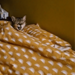 Chatte endormie dans le lit de sa maîtresse pendant son absence, lors d’une visite à domicile à Saint-Brice-sous-Forêt
