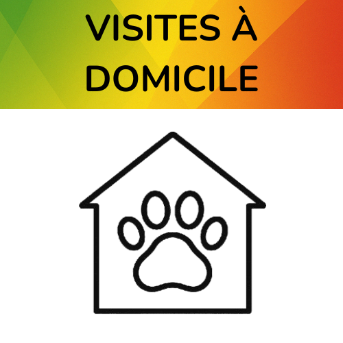 Visites à domicile – Debby Animaux Services