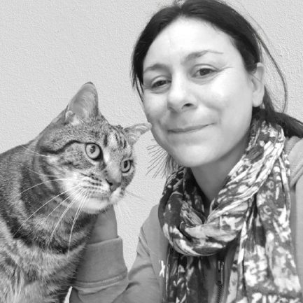 debby animaux services